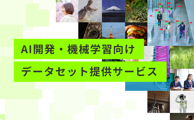 AI開発・機械学習向け データセット提供サービス