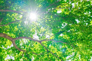 サンプルイメージ5